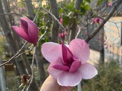 -广州神农草堂中医药博物馆