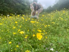 -硗碛藏寨·神木垒景区