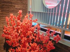 -云中鱼蒸汽石锅鱼(浦东食品城店)