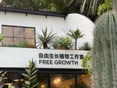 -自由生长植物工作室(深港花卉中心店)