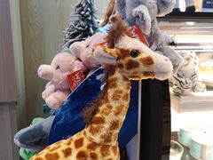 -ZOO COFFEE动物园咖啡(望京锐创店)