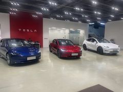 -TESLA 特斯拉(深圳观澜特斯拉直营钣喷中心)