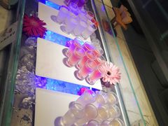 -大佛寺高级素食自助餐厅