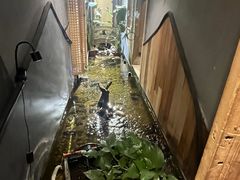 -邈墨茶馆(凤起路店)