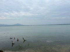 -观澜小洱海