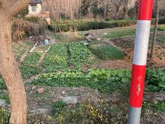 -石塘人家