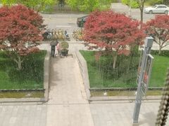 -大拙里·精致融合菜(沙湖桃源国际店)