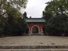 -灵谷景区