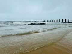 -日照海滨国家森林公园