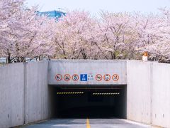 -龙美术馆(西岸馆)