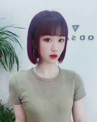 -YESIDO椰岛造型