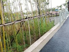 -长兴岛郊野公园农场食堂
