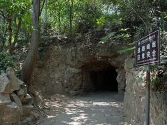 -上海佘山国家森林公园天马山园