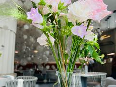 -Tomacado花厨(One ITC店)