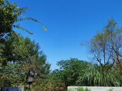 -木守西溪溪隐餐厅