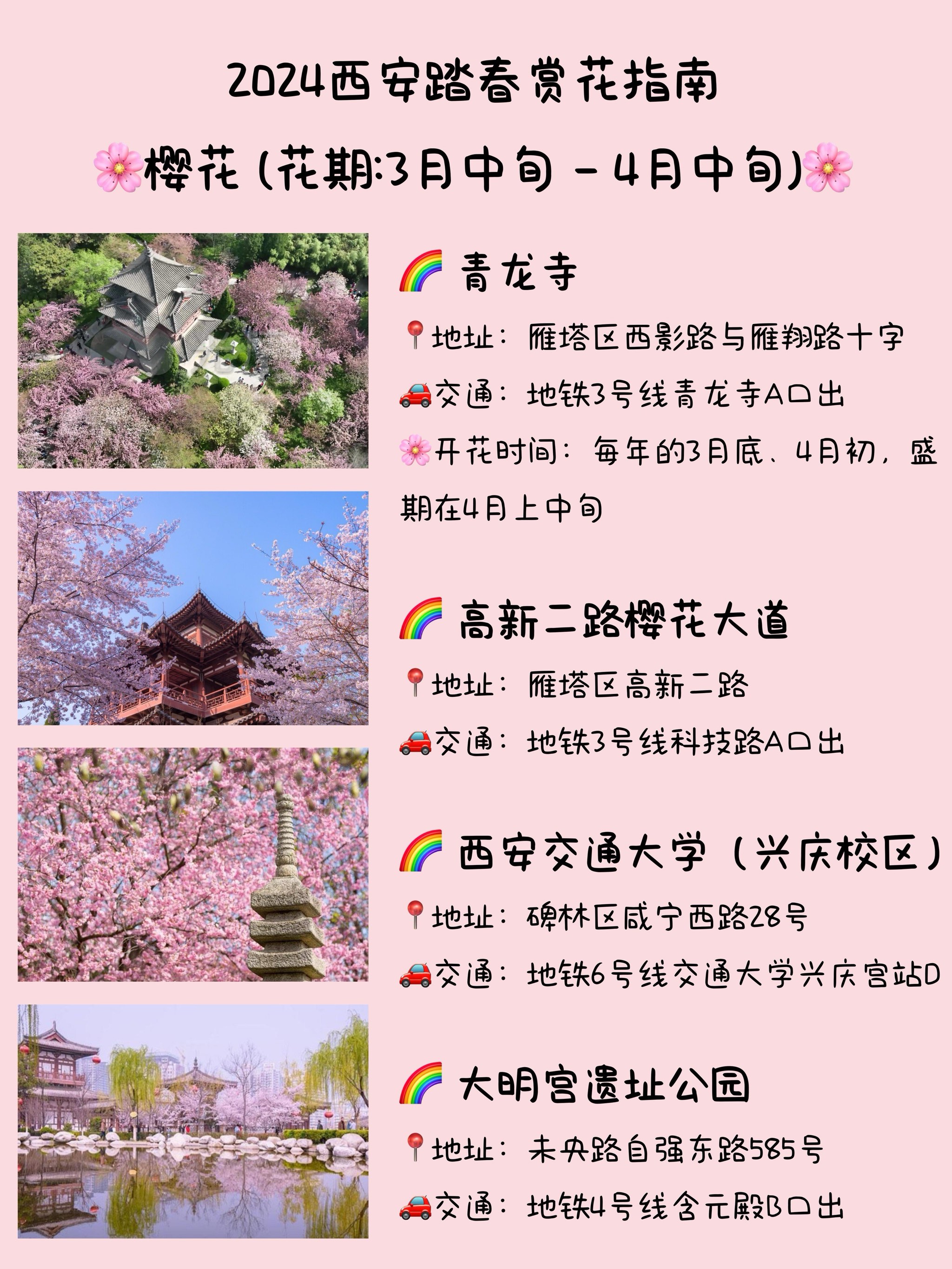 春日踏青赏花指南图片