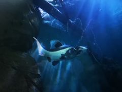 -苏州海洋馆