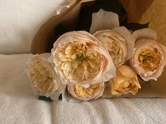 -Flower in(密渡桥店)