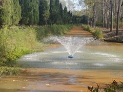 -合肥滨湖国家森林公园