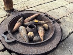 -西部长青自然儿童乐园