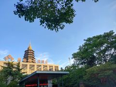 -听松楼-中餐厅.家宴(红梅公园店)