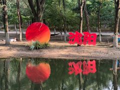 -长白岛森林公园