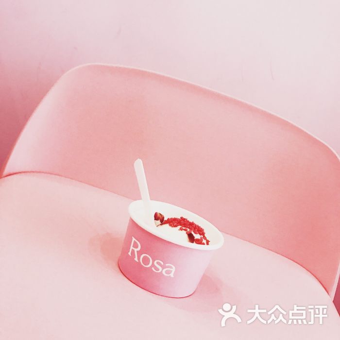 rosa图片 - 第4张