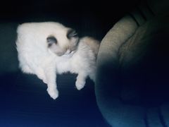 -零纪元VR体验馆·桌游(黄浦店)