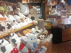 -九木杂物社(东方新天地店)