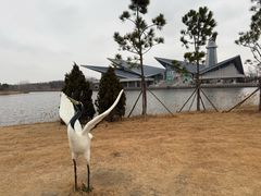 -盐城丹顶鹤湿地生态旅游区
