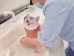 -优护佳月嫂育儿嫂中心(静安店)