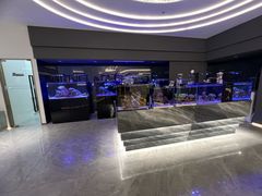 -1013 PET SHOP精品宠物商店(丁香店)