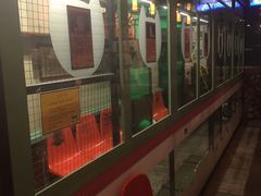 -猫咪博物馆(顶澳仔猫街店)