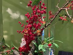-望湘园·小雅(德基店)