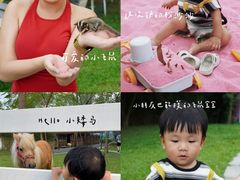 -云栖山谷野奢营地