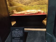 -亳州博物馆