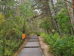 -帽儿山国家森林公园