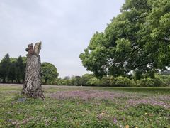 -福建鲤鱼洲酒店