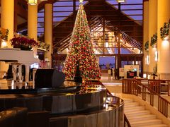 -亚龙湾喜来登·美景台大堂吧