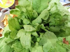 -十六蒲(桂林路店)