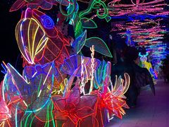 -南宫五洲植物乐园