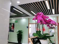-茂菊口腔连锁(浦东南路店)