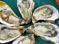 -吉品莞家·鲍鱼鸡煲(东莞店)