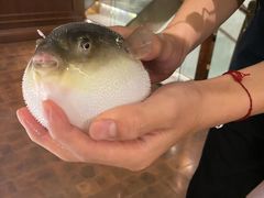 -肆月河豚·新淮扬(金融街店)