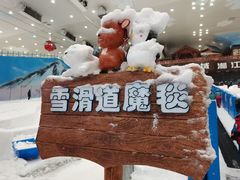 -湘江欢乐城欢乐雪域