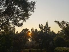 -深圳国际园林花卉博览园