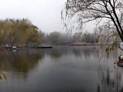 -北京植物园-展览温室