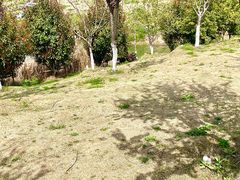 -太湖湖滨国家湿地公园-停车场