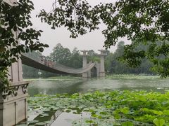 -东湖落雁景区