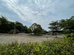 -东寨港红树林旅游区